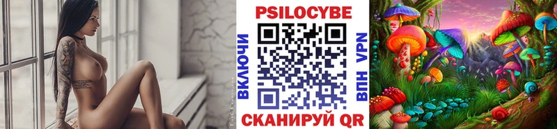 Купить где  Армавир  Псилоцибиновые грибы MAGIC MUSHROOMS 